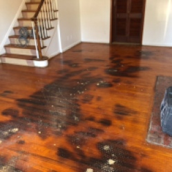 Original Hardwood Floor