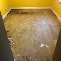 Original Floor